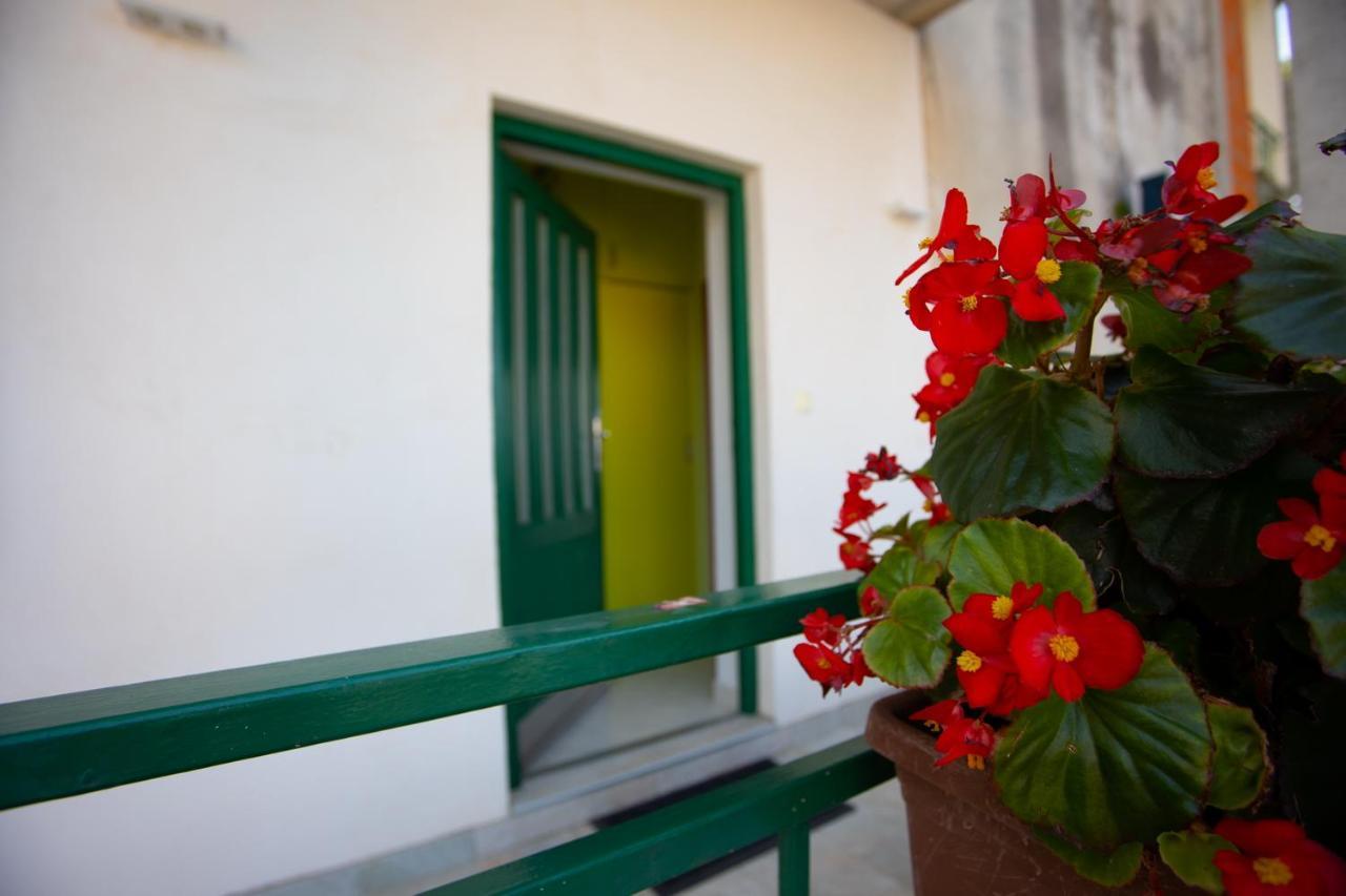 Apartment Nola Podgora Værelse billede